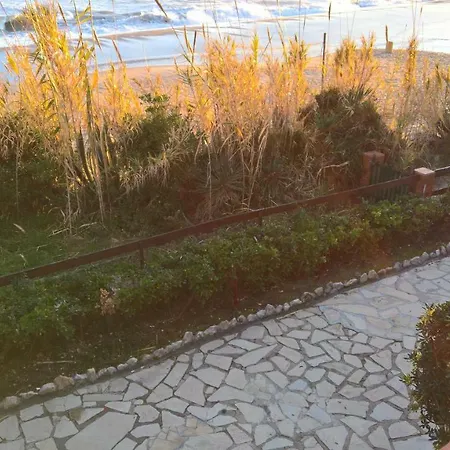 Waldorado Apartment *